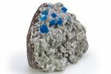 Vibrant Blue Cavansite Clusters on Stilbite - India #306056-2